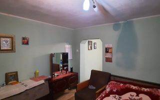 Gospodăria familiei tale în Poarta Albă - Poză 10