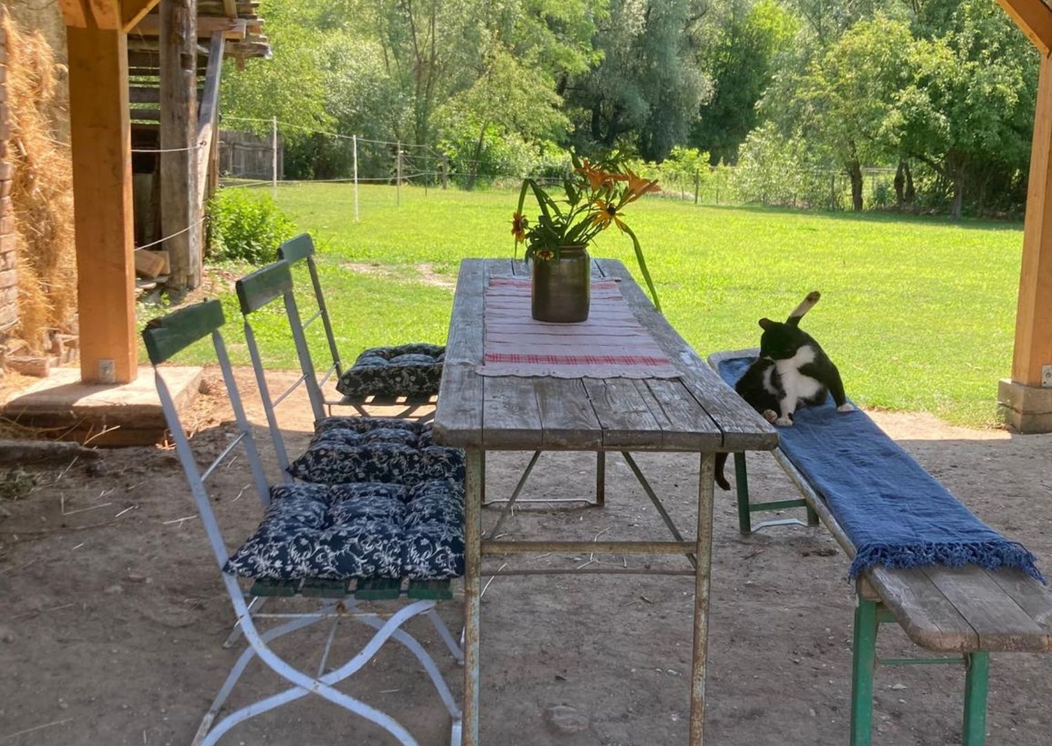 Casă săsească, în Transilvania - Poză 7