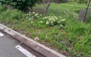 Teren de vânzare în Bucium, strada Ștefan Octavian Iosif nr. 29, zona Plopii fără Soț - Poză 3