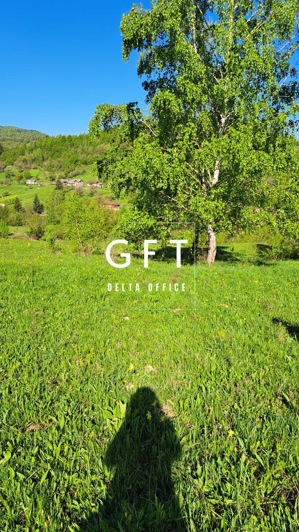 Teren extravilan de vanzare, Bistrita Bargaului- 10 minute de Colibita - Poză 15