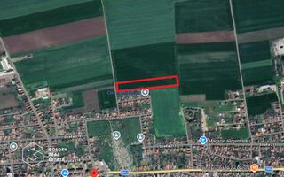 Teren extravilan, 2 hectare, oras Pecica - Poză 1