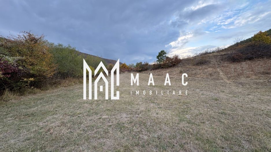 Teren de vânzare 5.000 mp | Poplaca | lângă pădure - Poză 8