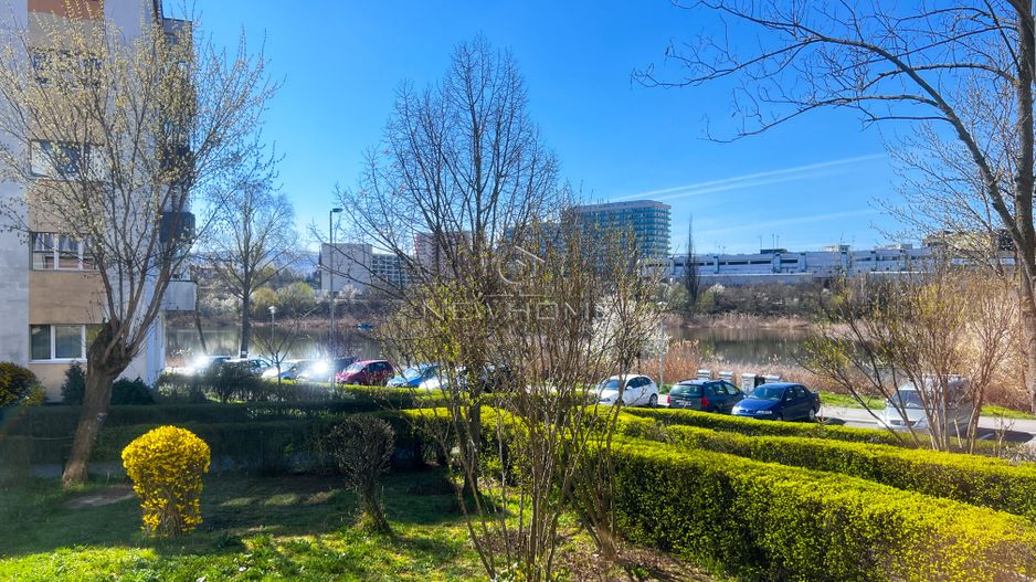Apartament 2 camere decomandat, zona Iulius Mall - Poză 14