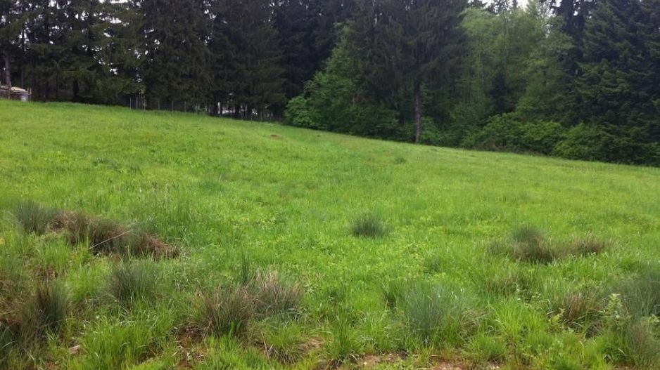 Teren intravilan Cotul Donului,pretabil Hotel/pensiune. - Poză 17