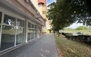 Spatii de Birouri/Comerciale de Inchiriat Bulevardul Transilvania - Poză 5