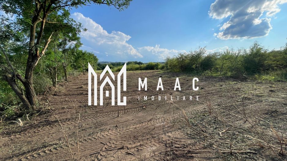 Oportunitate de Investiție Strategică | Teren Intravilan | Colonia Becas - Poză 8