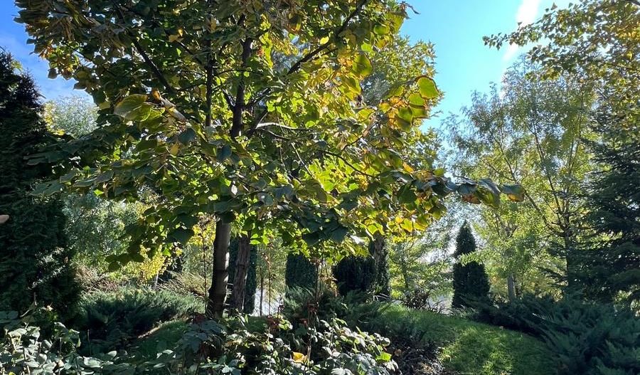 2 camere Laguna Residence - Poză 14