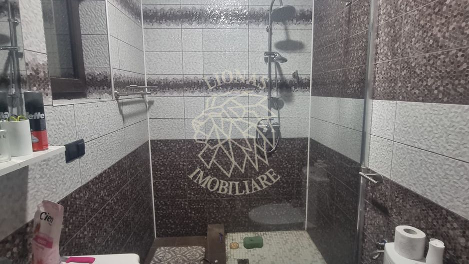 Casa de Lux 6 camere-480mp-teren 1100mp-service tinichigerie-Arcalia - Poză 5