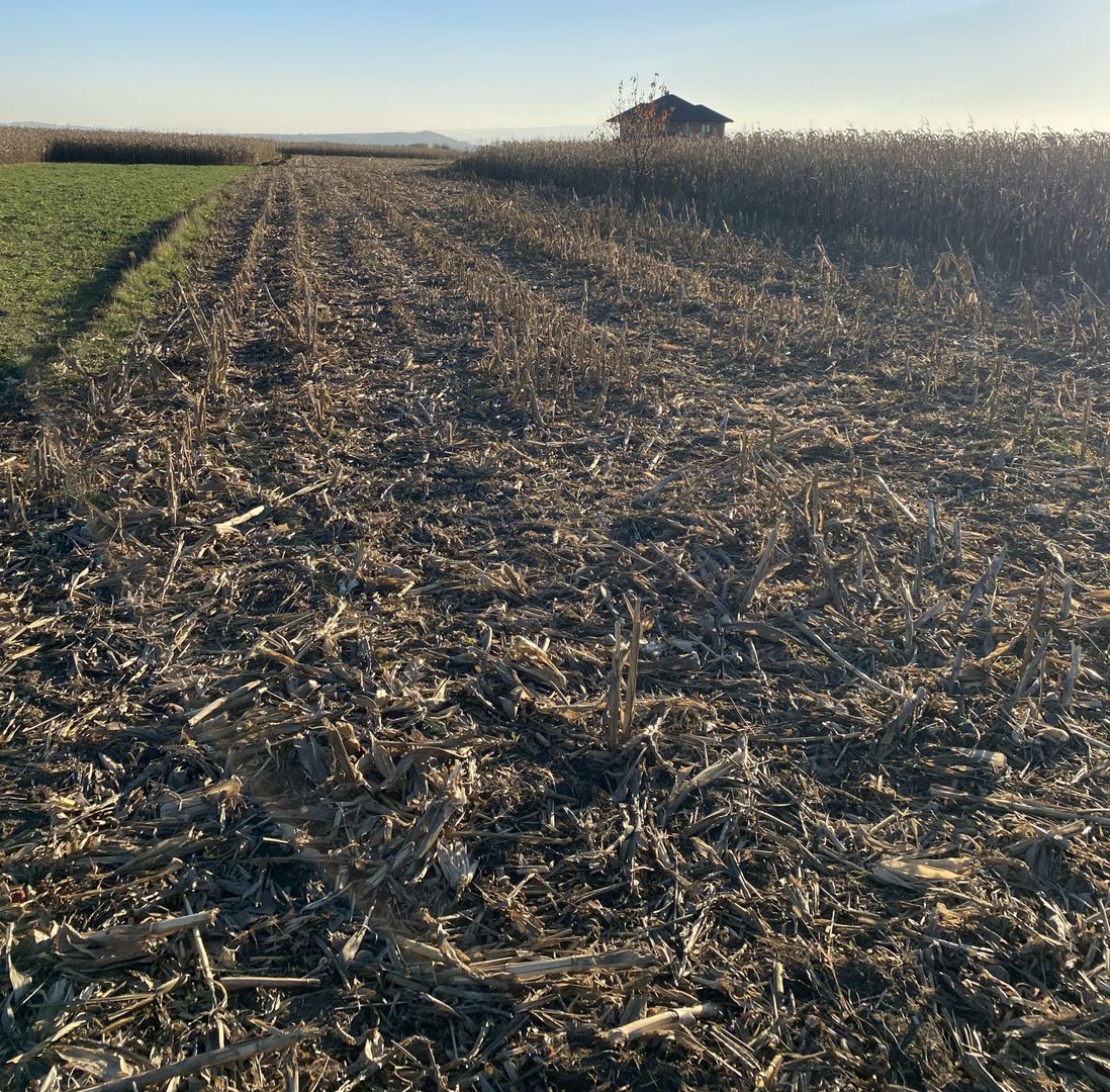 Teren Frătăuții Vechi | 14 Ari | 25.000 EUR - Poză 2