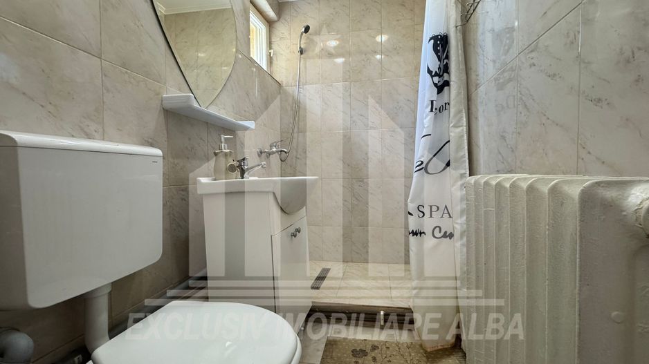 Apartament cu 2 camere de inchiriat, Cetate - Poză 6