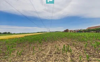 Teren extravilan 5000 mp, Arad - Poză 11