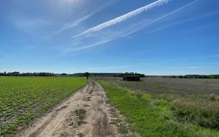 Teren Intravilan 825mp Cu dubla deschidere si Drum de servitute, Dascalu  Ilfov - Poză 11