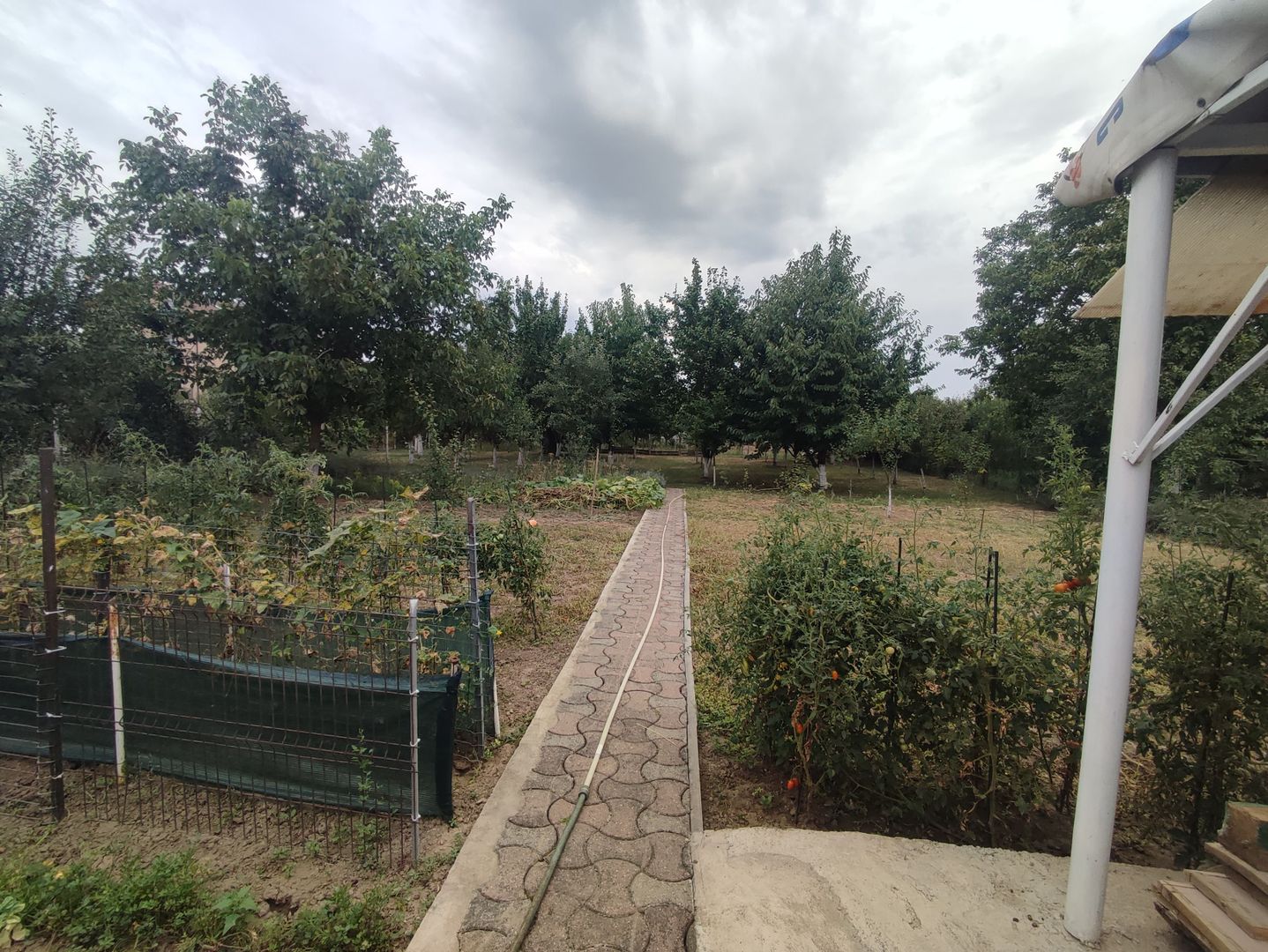 Sanadrei, Casa individuala, Suprafata teren generos, Garaj, terase si anexe - Poză 5