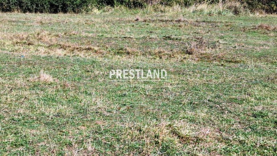 Teren extravilan situat în Cristian - Poză 2