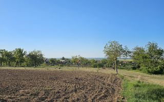 Teren intravilan Cetariu 5000 mp - Poză 2