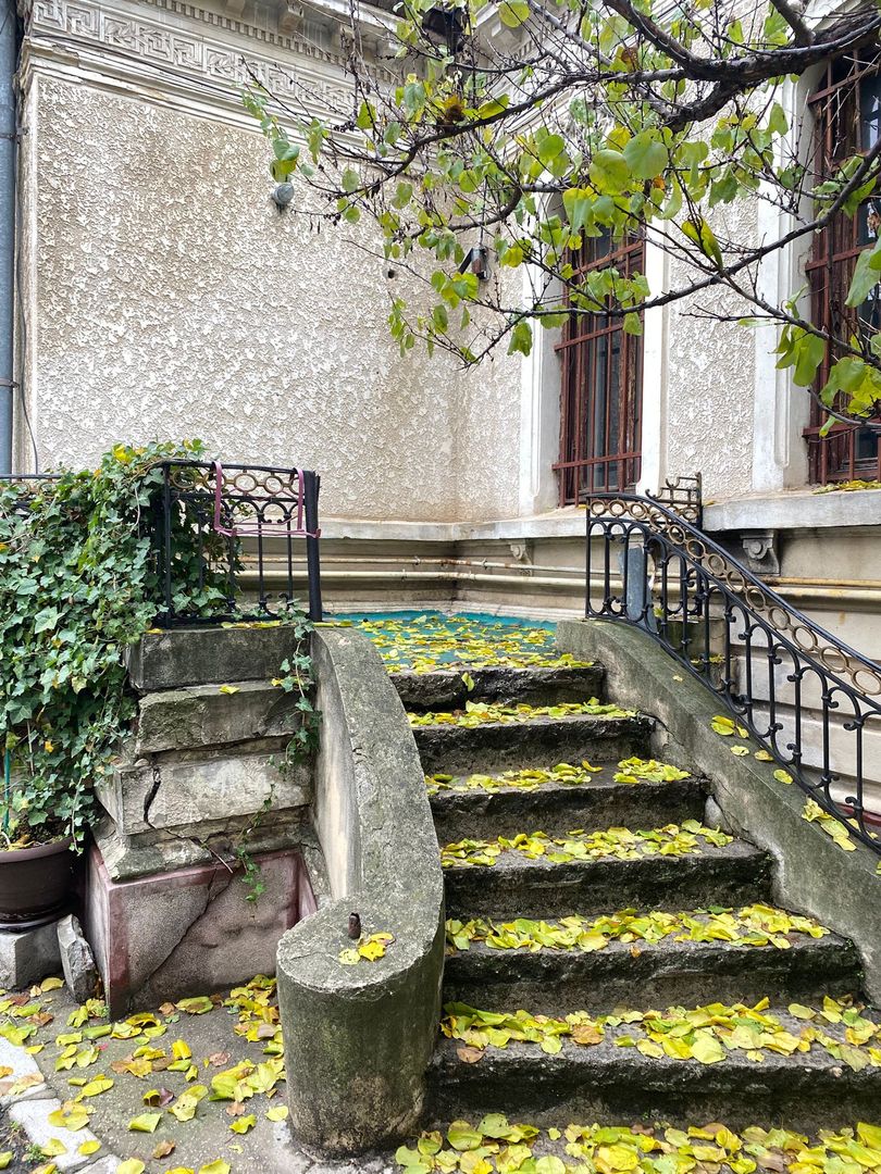 De Vanzare Vila Interbelica, 8-10 Camere, Romana - Zodiac - Poză 36