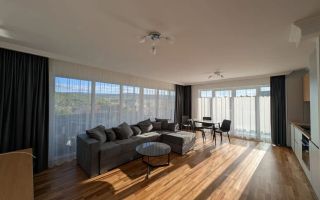 2 camere open space, Premium, Sopor, Profi, Iulius Mall, Gheorgheni - Poză 3