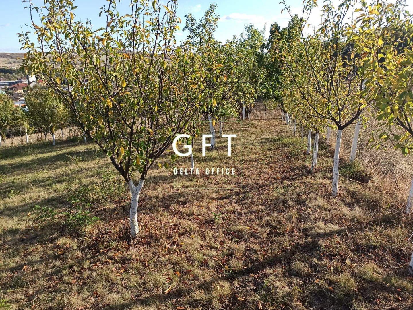 Teren intravilan 730 mp-livada-vedere panoramica-Valea Sigmirului - Poză 7