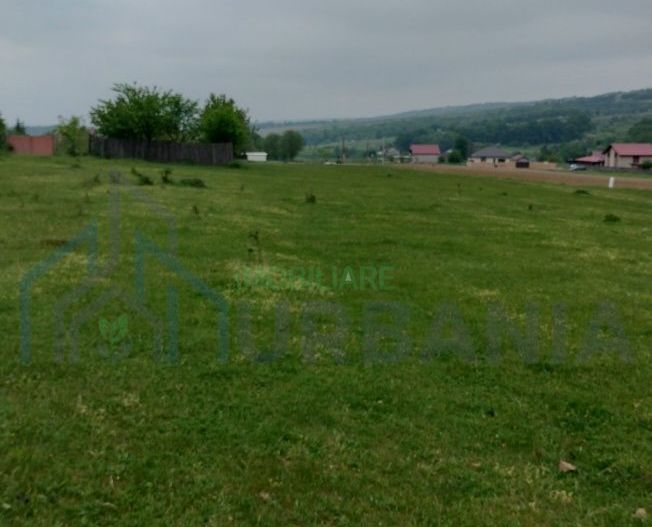Teren intravilan 7.200 m2, Bordea, Grajduri, ideal case/ investitie - Poză 3