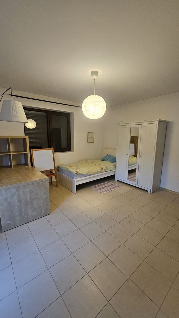 Vila 8 camere Dascalu - Poză 9