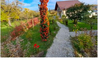 APARTAMENT 3 CAMERE CAMPULUNG, ETAJ 4, GRUI - Poză 25