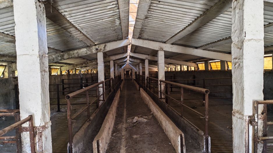 Spațiu industrial -fermă Orțișoara - Poză 2