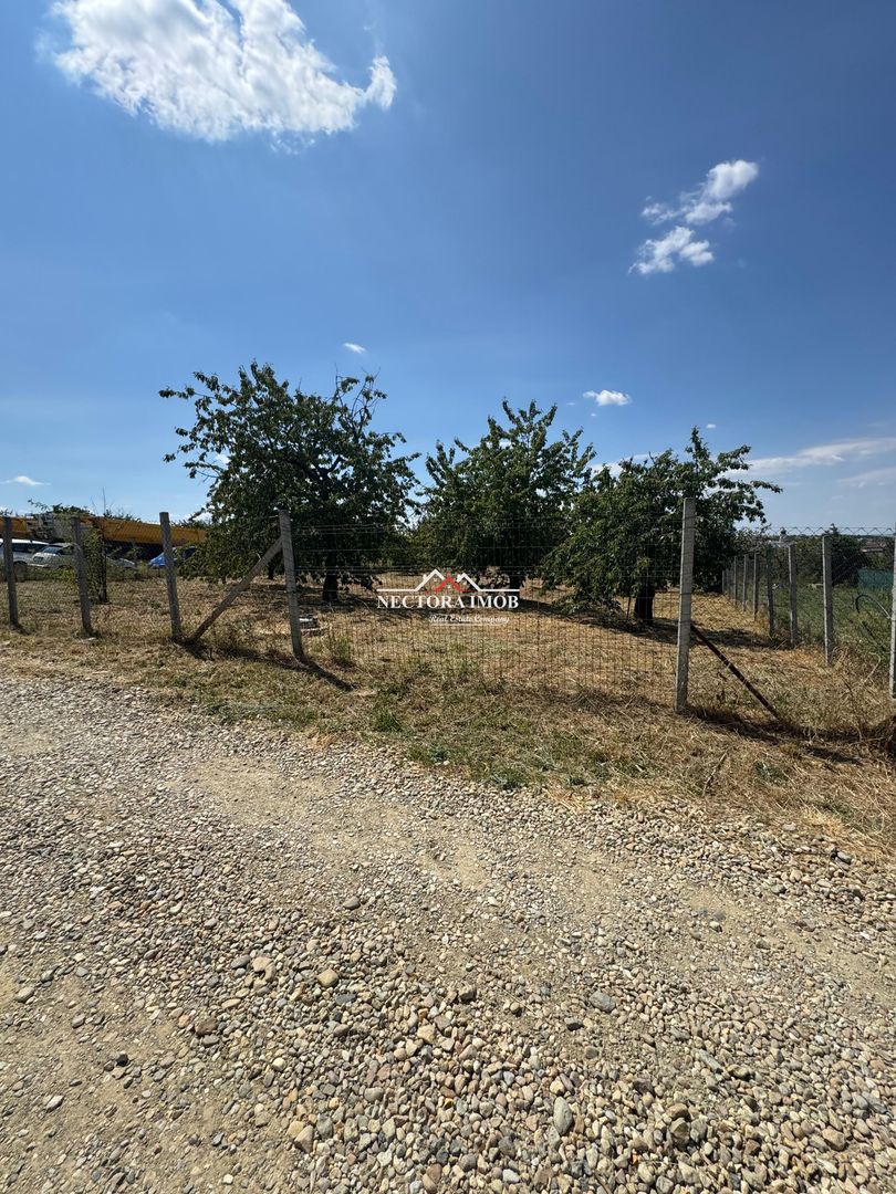 NECTORA IMOB-Teren INTRAVILAN 1000 mp, Zona PALEU, Utilitati incluse - Poză 6