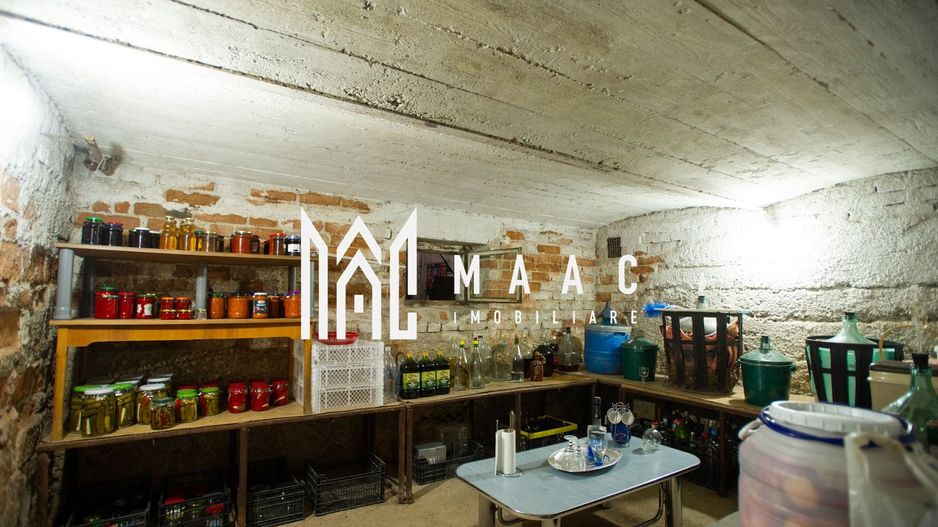 Casa Individuala | 407MPU | 1000MP Teren | Calea Dumbravii - Poză 22