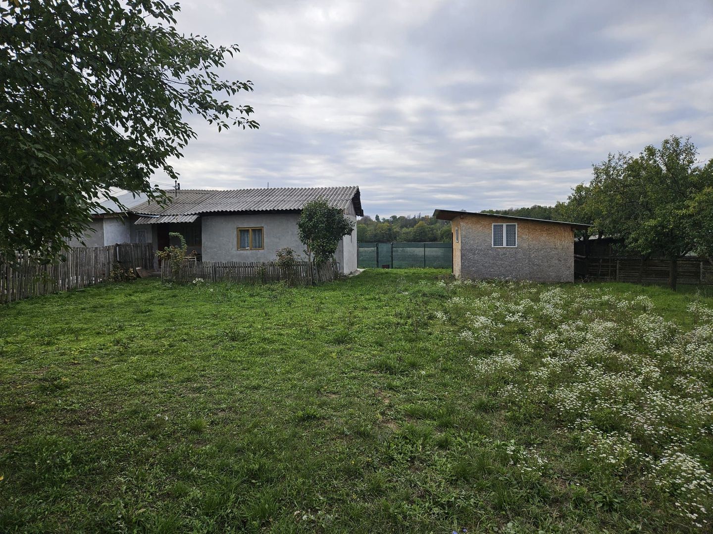 Casă de Vânzare în Albota, Sat Mareș – Liniște și Natură la Doar 10 Km - Poză 3