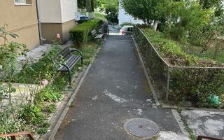 Apartament 3 camere - Zona Petrisor - Poză 3