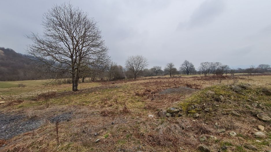 Teren intravilan 4400 MP - Poză 5