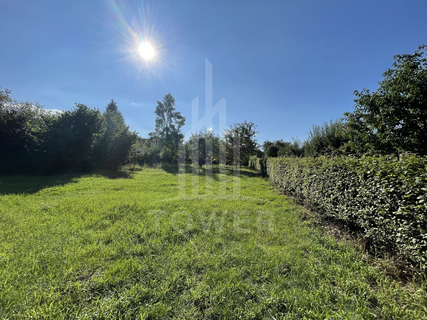 Teren deosebit cu cabană din lemn, Tocile – locație liniștită - Poză 5