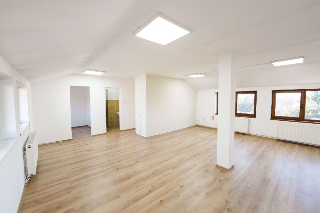 Spatiu comercial/de birouri elegant pentru afacerea ta, Brestei-zona Obedeanu - Poză 2