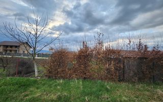 Teren generos intravilan constructii - Cristian - Sibiu - Poză 6