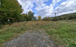 Teren intravilan cu Puz si priveliște deosebită, spre Cetatea Cisnădioara - Poză 11