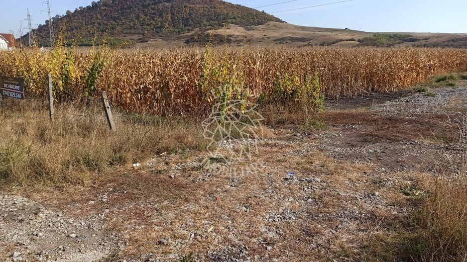 Parcele intre 770 mp si 4606 mp-ideal investitie-Sarata - Poză 6