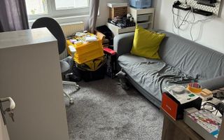 Apartament 3  camere  Buziasului - Poză 11