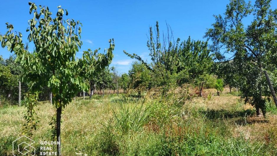 Casa, comuna Paulis - Poză 3