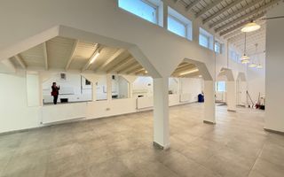 Casa situata in zona Vasile Lascar, Mihai Eminescu, Bd. Dacia - Poză 13