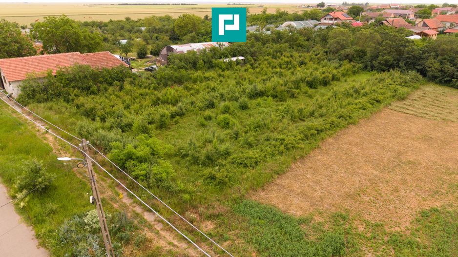 Teren 2400 mp - Tisa Noua, com. Fantanele - Poză 2