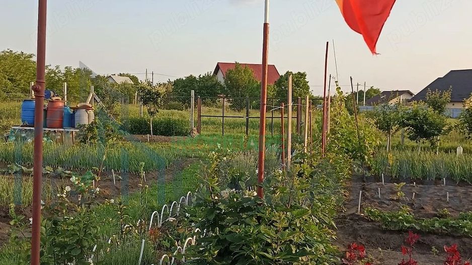 Teren Intravilan 470 mp   Horlești, Comuna Rediu (Proprietar) - Poză 2