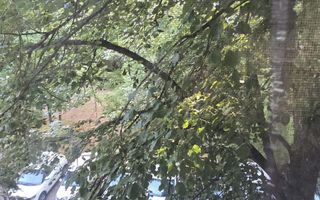 Apartament 2 camere 50 mp zona Giurgiului  xy - Poză 14