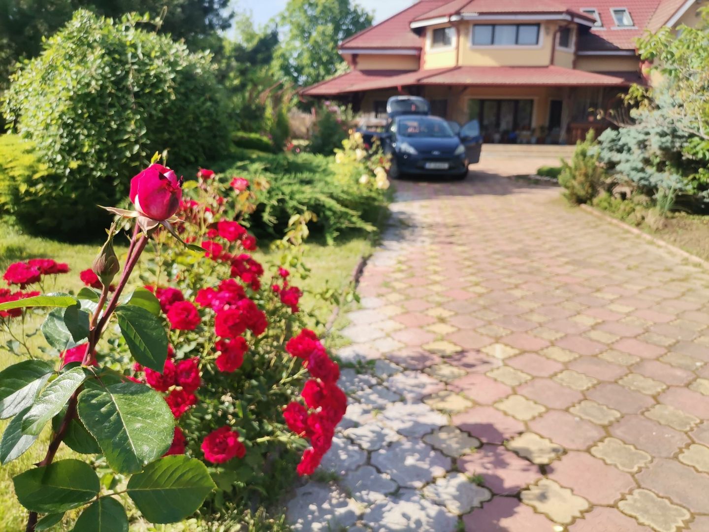 Vilă de lux mobilata/utilata cu terasa+foisor, garaj,gradina si livada - Poză 9