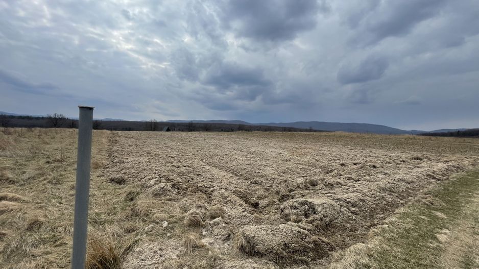 TEREN EXTRAVILAN | 23 ARI | HORODNIC DE SUS - Poză 10