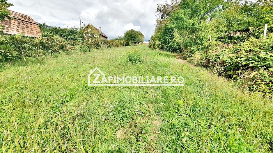 Teren 3.412 mp,zona Belvedere 45 euro mp - Poză 11