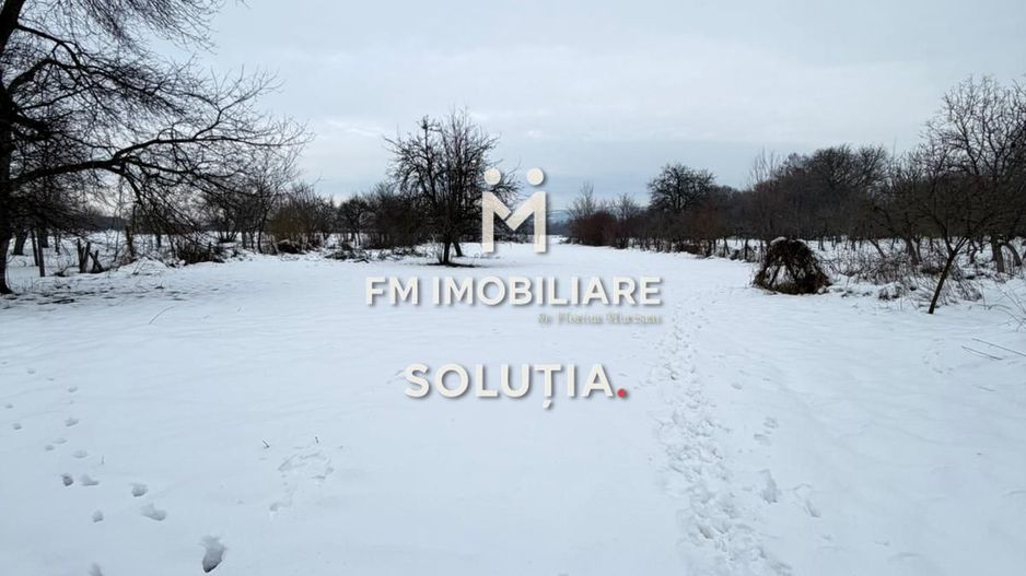 Casă cu teren generos în Buciumi - Poză 8