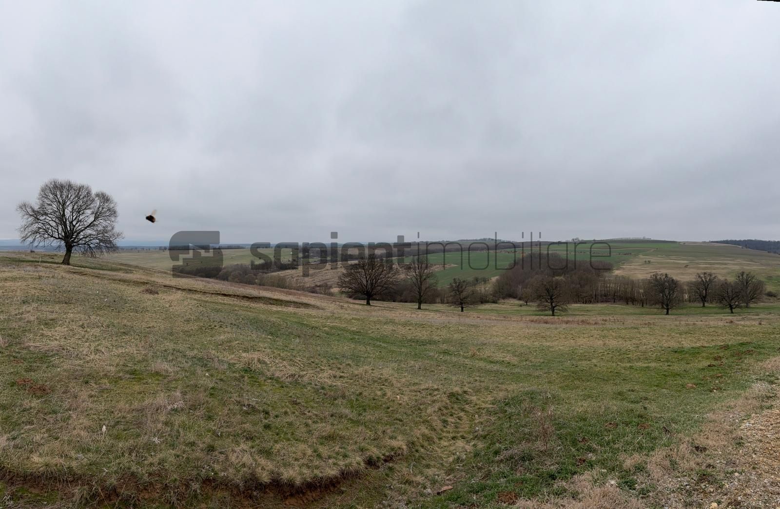 Teren agricol - Poză 6
