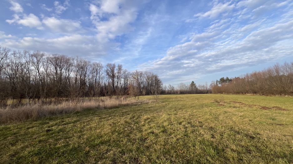 TEREN INTRAVILAN GENEROS | 72 ARI | GALANESTI - Poză 2