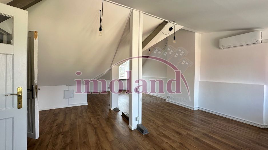 Floreasca - Chirie Casa cu Curte - Office/Comercial/Rezidential - Poză 16