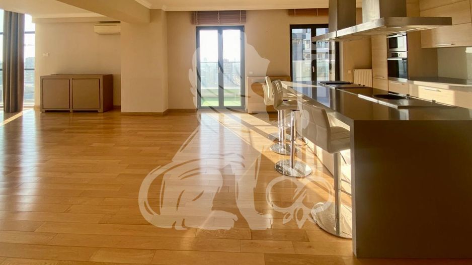 Penthouse Upground | Splendid View | Pipera | Barbu Vacarescu | Tei - Poză 9